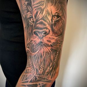 lion arm